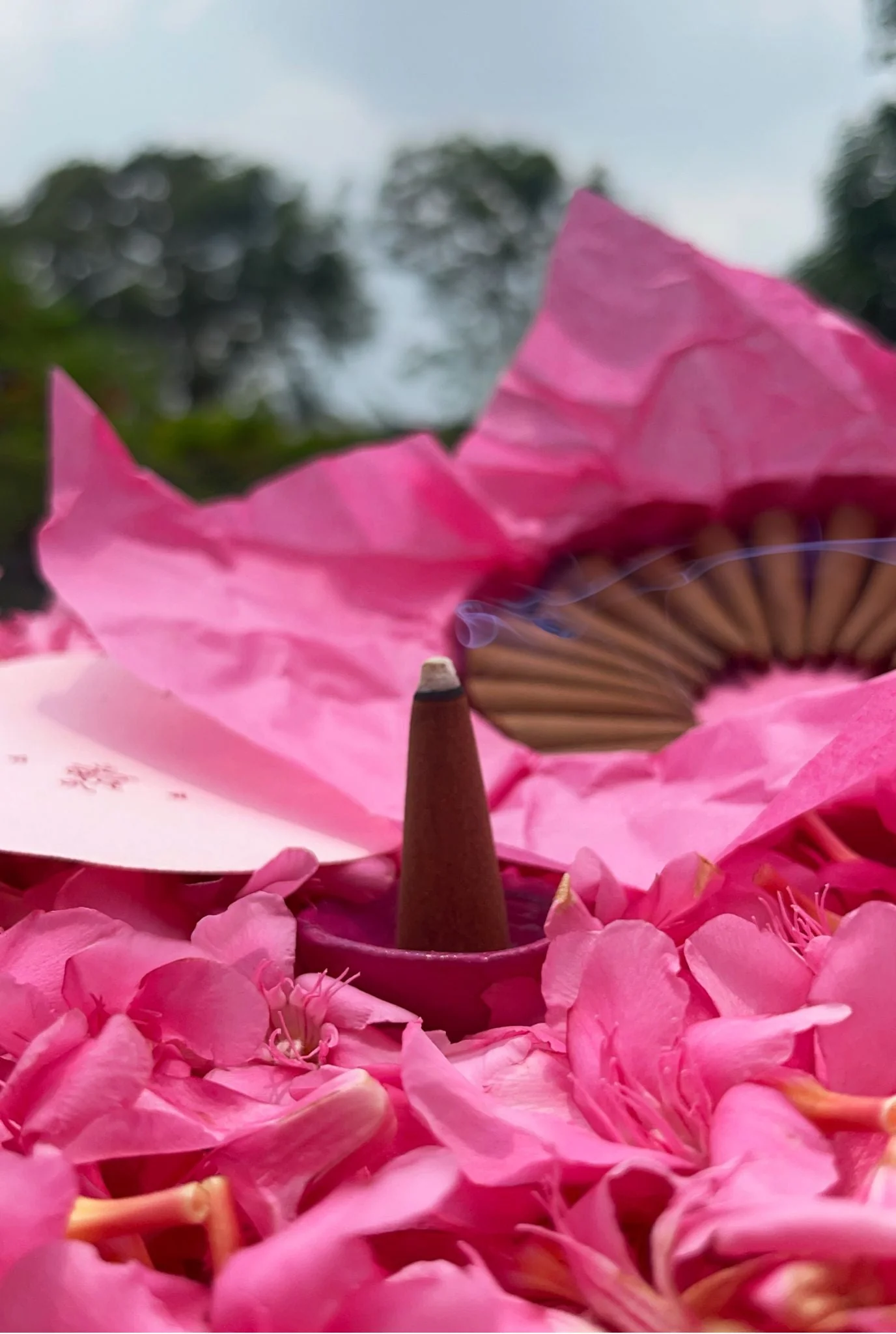 Gulabi Dhoop - Indian Rose Incense Cones - Image 6