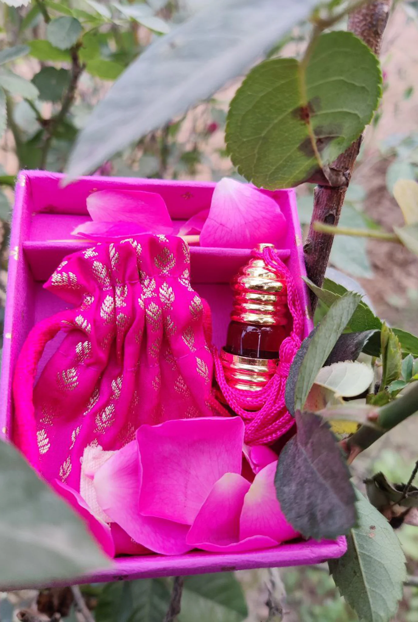 Gulabi Fragrance - Image 4