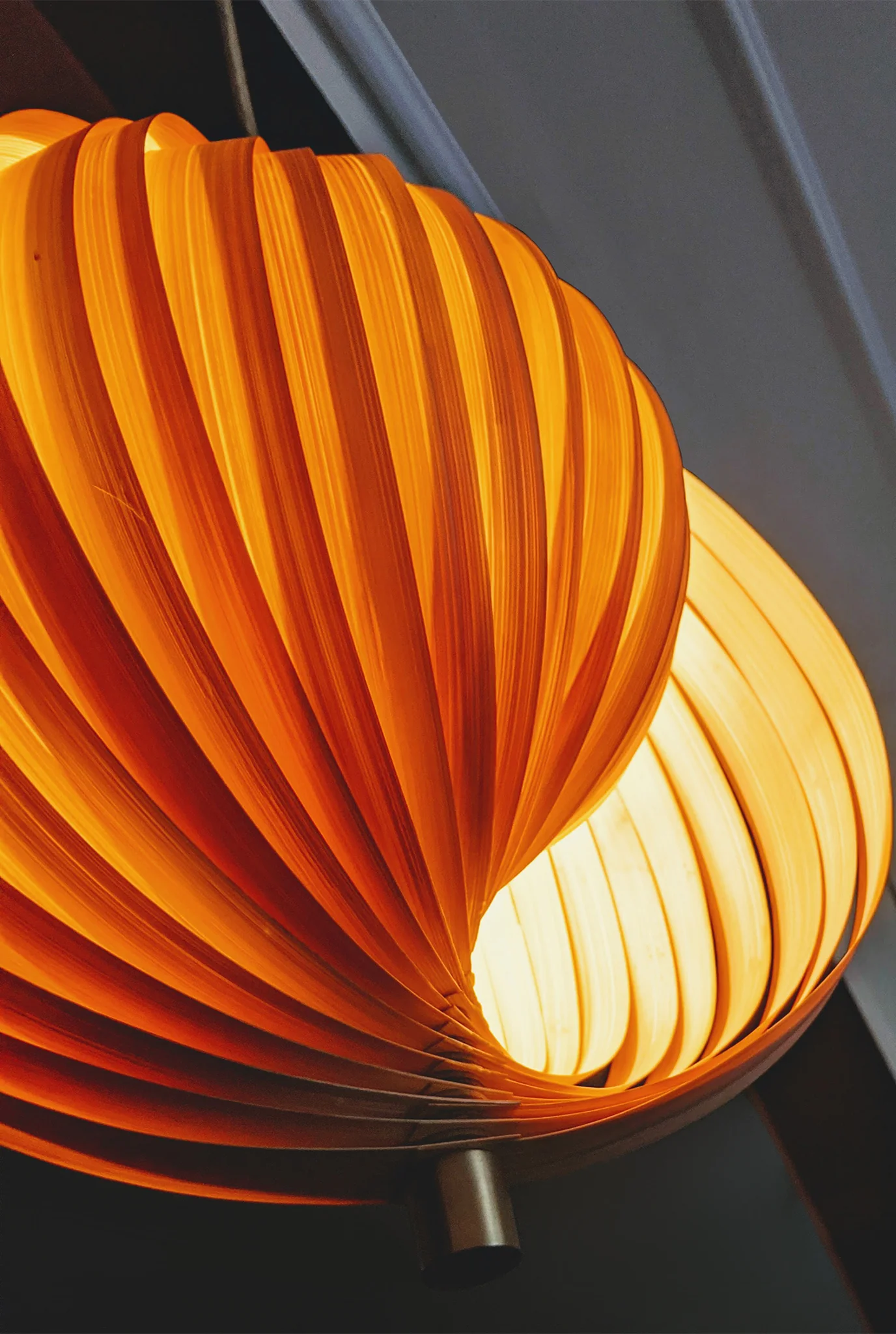 Seashell Pendant Lamp - Image 3