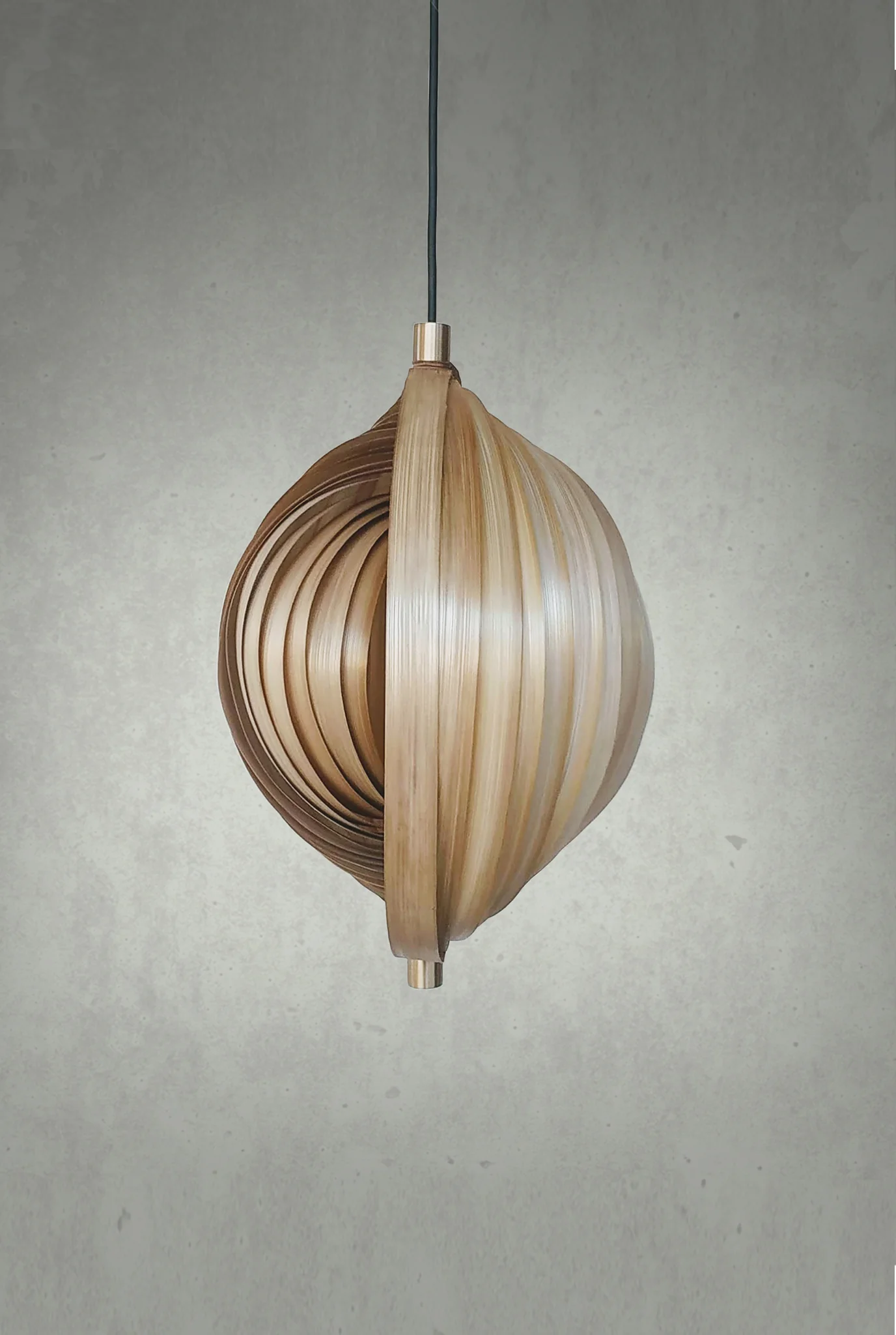 Seashell Pendant Lamp - Image 4