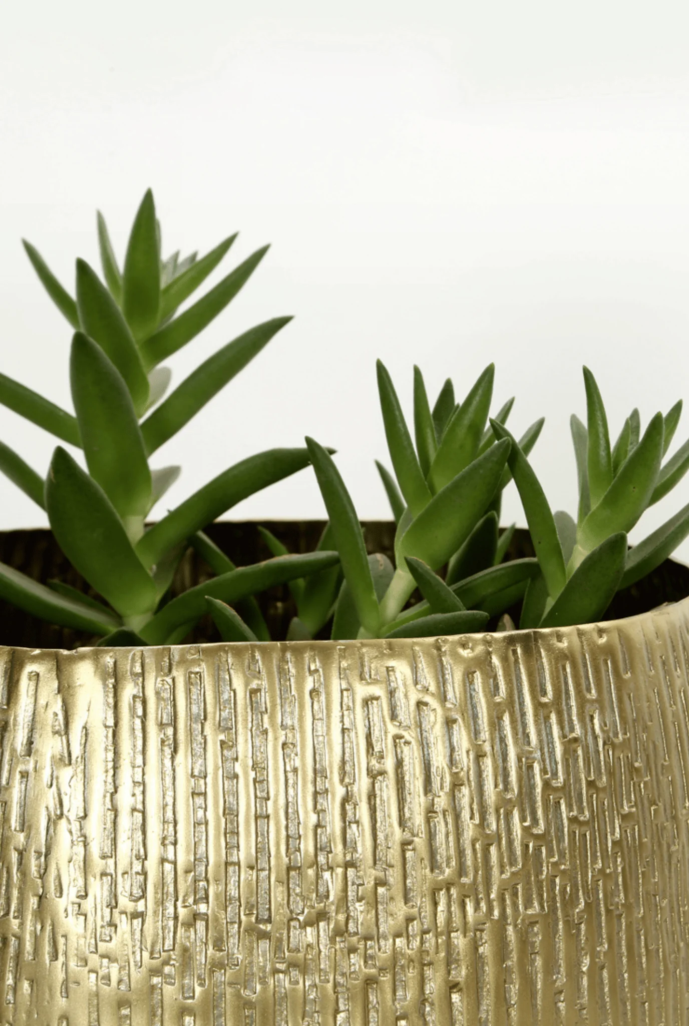 Vaya Planter - Image 2